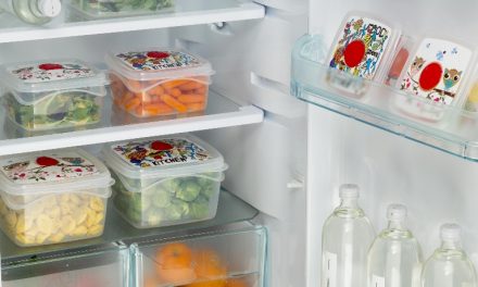 Organizza il tuo frigo con i contenitori adeguati