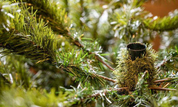 Guida pratica all’archiviazione natalizia: come smontare l’albero con efficienza